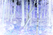 _mg_0574.jpg
