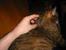 linux_5415.jpg
