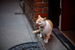 _mg_9107.jpg