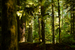 _mg_9894.jpg