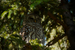 _mg_3537.jpg
