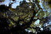 _mg_3787.jpg