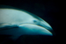 _mg_3567.jpg