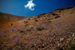 _mg_8245.jpg
