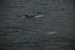 _mg_5163.jpg