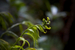 _mg_5476.jpg