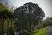 _mg_6350.jpg