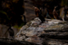 _mg_4015.jpg