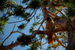 _mg_5040.jpg