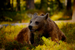_mg_6088.jpg