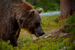 _mg_6803.jpg