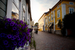 _mg_7374.jpg