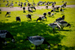 _mg_7519.jpg