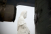 _mg_8366.jpg