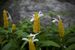 _mg_9266.jpg