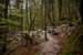 _mg_6528.jpg