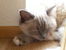 20160515_151155.jpg