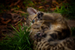 _mg_5527.jpg
