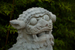 _mg_5553.jpg