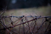 _mg_6685.jpg