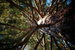 _mg_7105.jpg