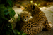 _mg_7601.jpg