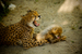_mg_7637.jpg