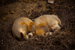 _mg_7867.jpg