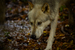 _mg_6592.jpg